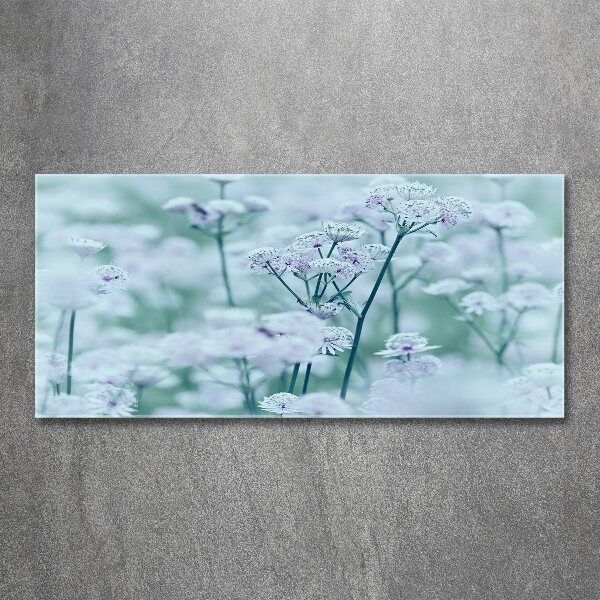 Obraz zdjęcie akryl Jarzmianka większa