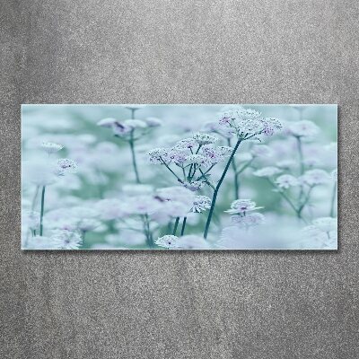 Obraz zdjęcie akryl Jarzmianka większa