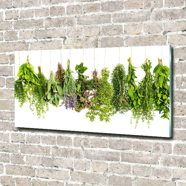 Obraz zdjęcie szkło akryl Zioła na sznurku