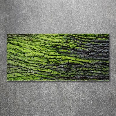 Foto plexiglas Boomschors