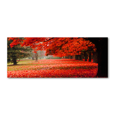 Schilderij op acrylglas Bomen in de herfst