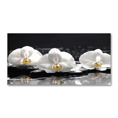 Obraz zdjęcie na ścianę akryl Orchidea