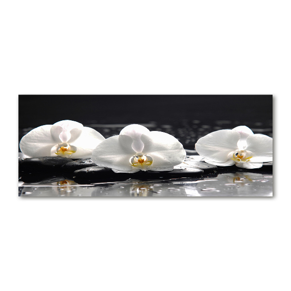 Foto plexiglas Orchidee