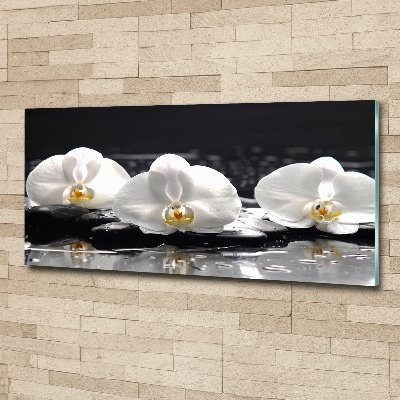 Foto plexiglas Orchidee