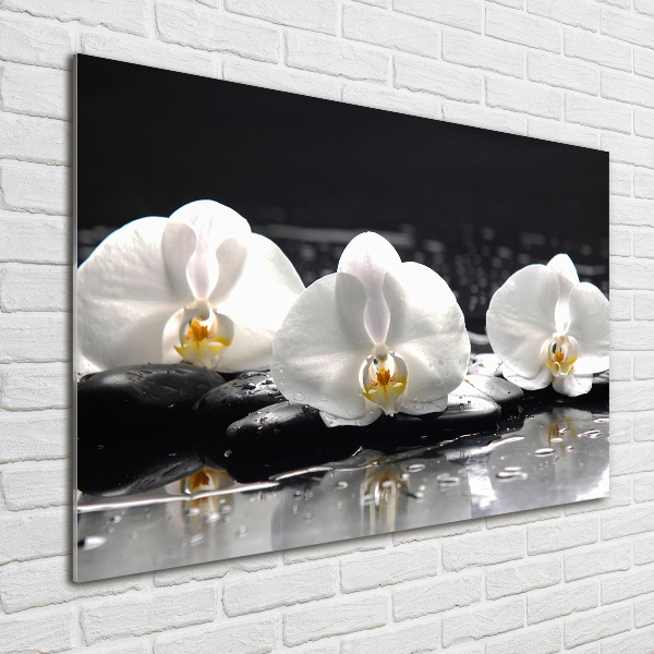 Foto plexiglas Orchidee