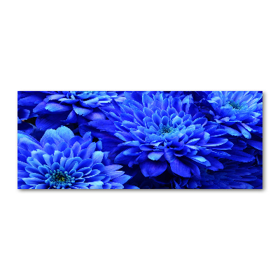 Foto in plexiglas Blauwe aster
