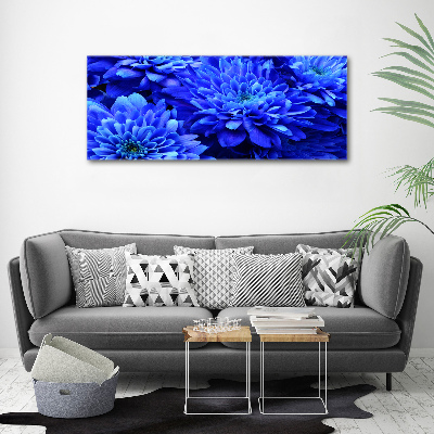 Foto in plexiglas Blauwe aster