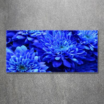 Foto in plexiglas Blauwe aster
