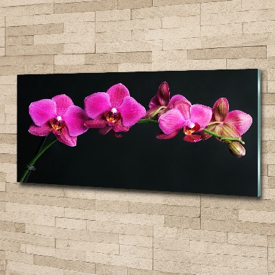 Foto op plexiglas Orchidee