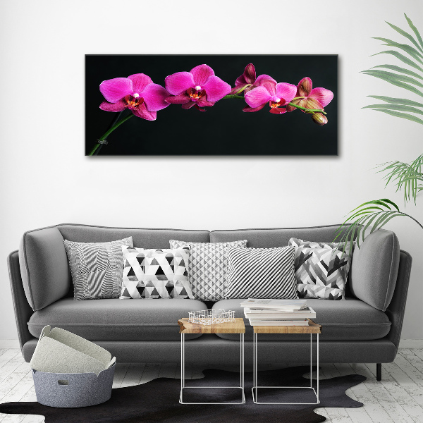 Foto op plexiglas Orchidee