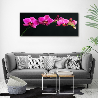 Foto op plexiglas Orchidee