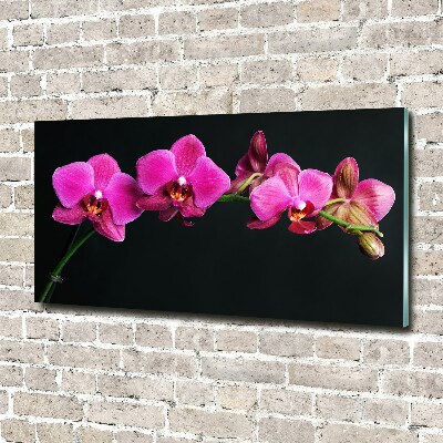 Foto op plexiglas Orchidee