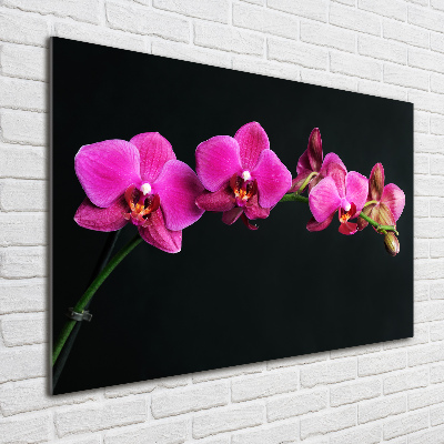 Foto op plexiglas Orchidee