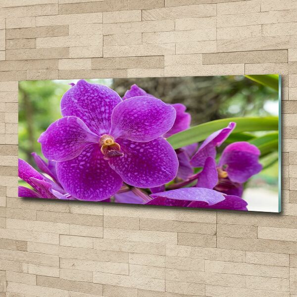 Foto in plexiglas Orchidee