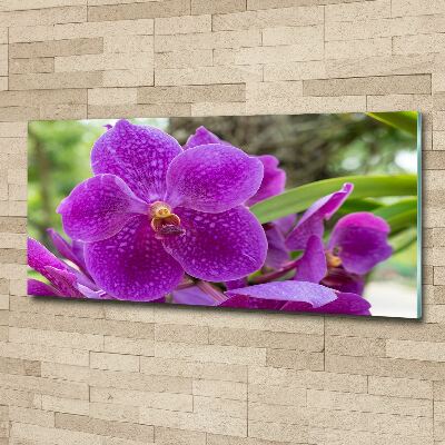 Foto in plexiglas Orchidee