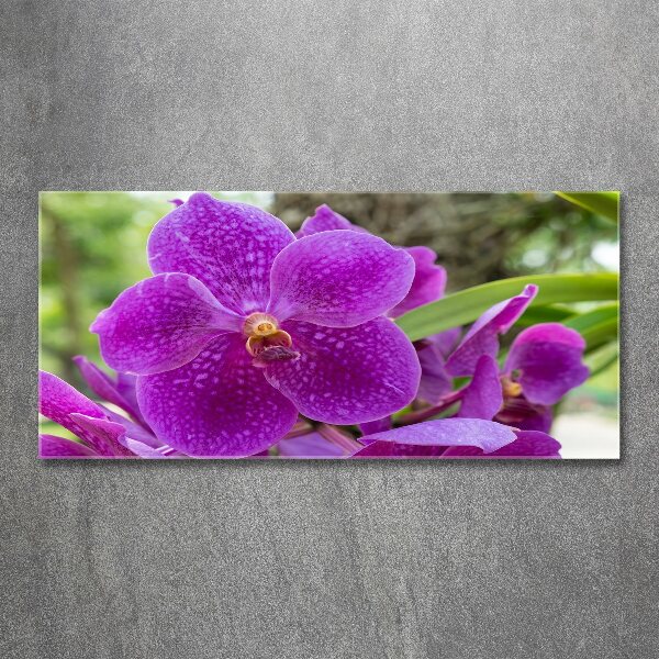 Foto in plexiglas Orchidee