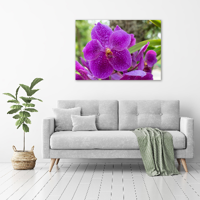 Foto in plexiglas Orchidee