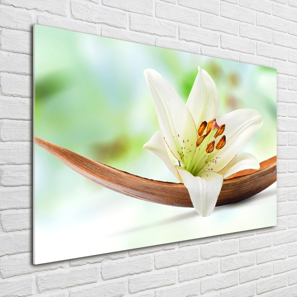 Obraz zdjęcie nowoczesny akrylowy Lilia