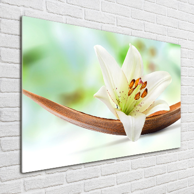 Obraz zdjęcie nowoczesny akrylowy Lilia