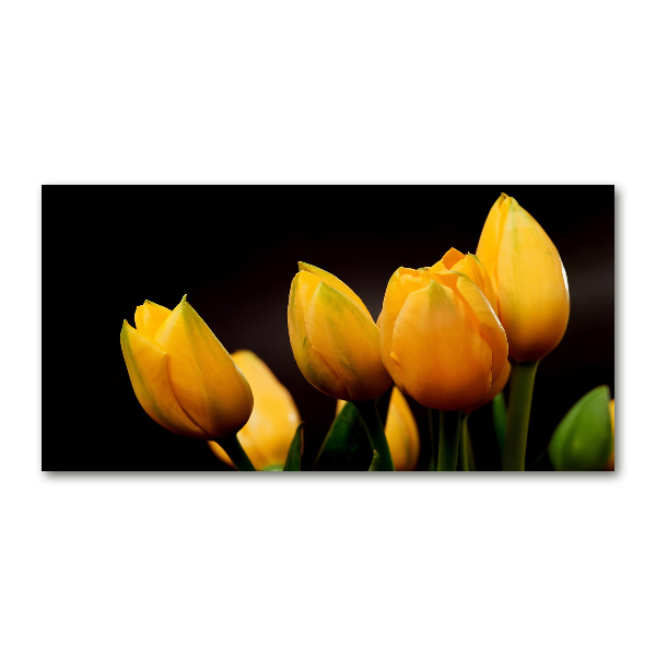 Foto op plexiglas Gele tulpen