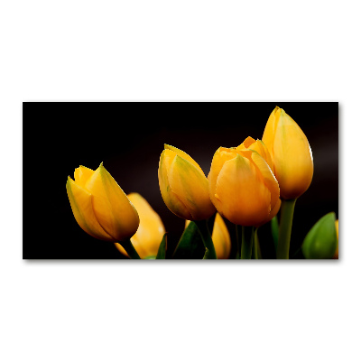 Foto op plexiglas Gele tulpen
