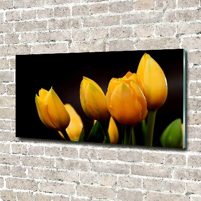 Foto op plexiglas Gele tulpen