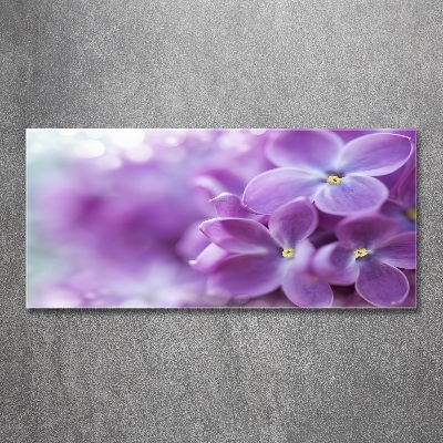 Plexiglas foto Seringbloemen