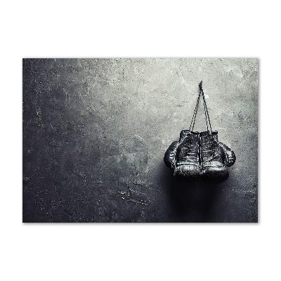 Foto plexiglas Bokshandschoenen