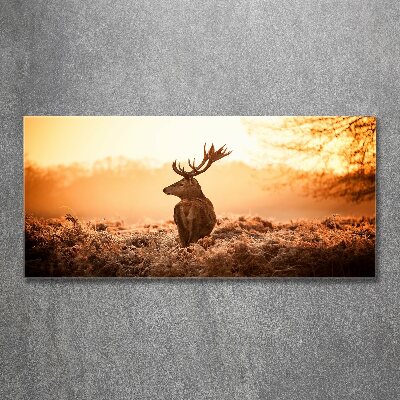 Plexiglas foto Herten zonsopgang