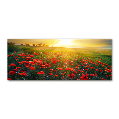 Plexiglas schilderij Klaprozenveld