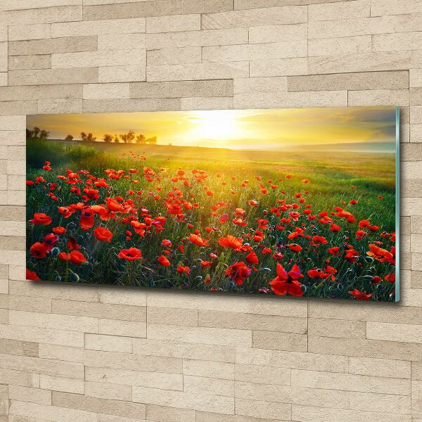 Plexiglas schilderij Klaprozenveld