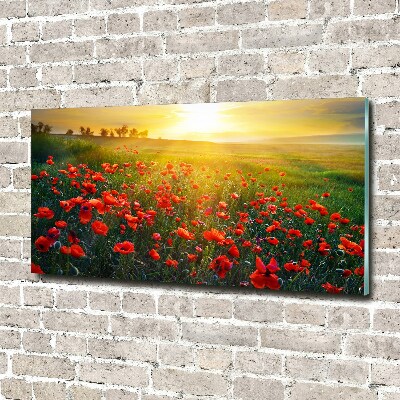 Plexiglas schilderij Klaprozenveld