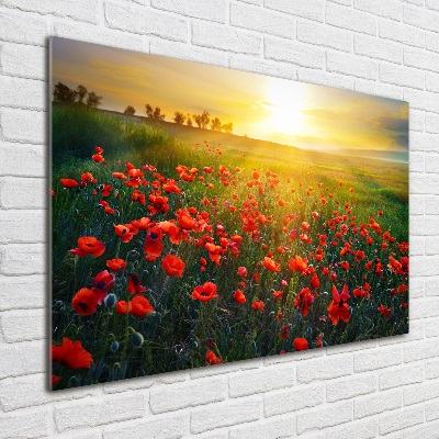 Plexiglas schilderij Klaprozenveld