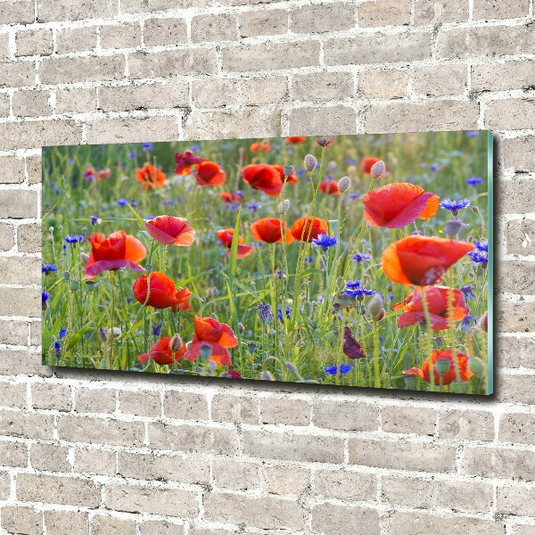 Foto plexiglas Wilde bloemen