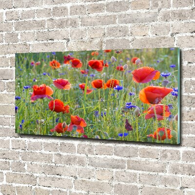 Foto plexiglas Wilde bloemen