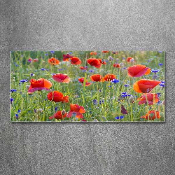 Foto plexiglas Wilde bloemen