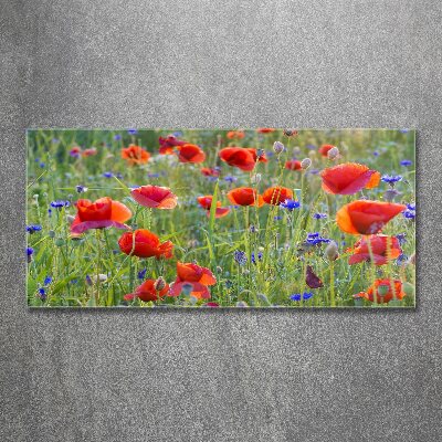 Foto plexiglas Wilde bloemen