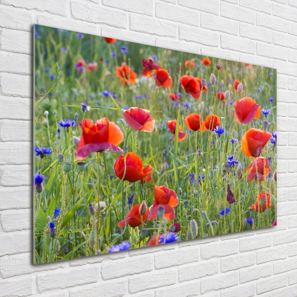 Foto plexiglas Wilde bloemen