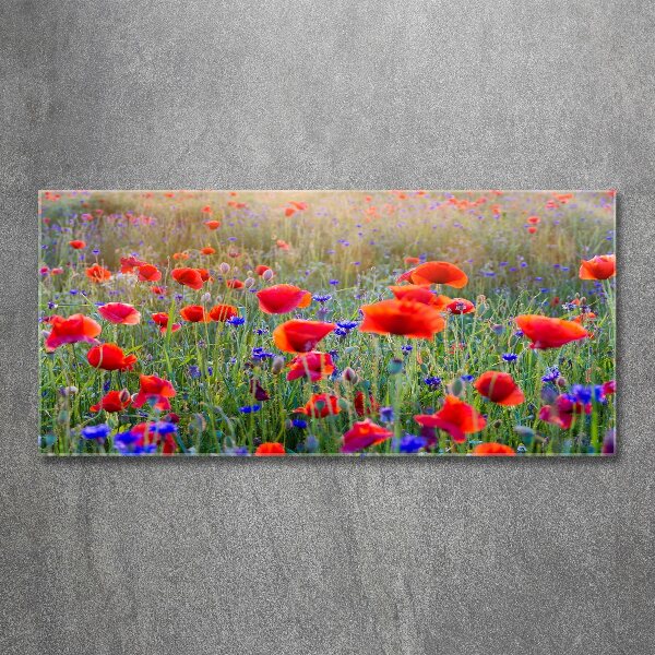 Foto in plexiglas Wilde bloemen