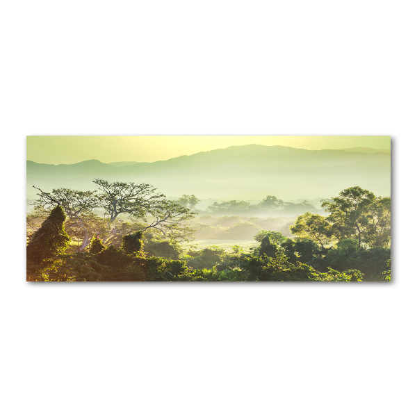 Plexiglas schilderij jungle