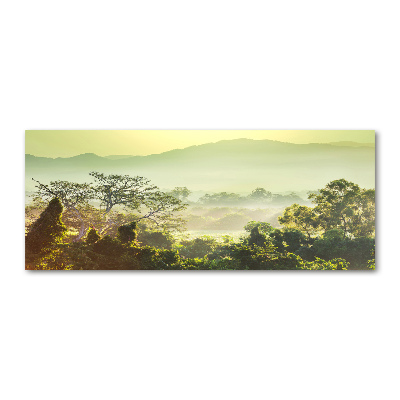 Plexiglas schilderij jungle