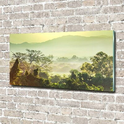 Foto obraz szkło akryl Dżungla