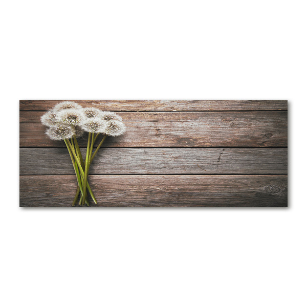 Obraz zdjęcie szkło akryl Dmuchawce drewno