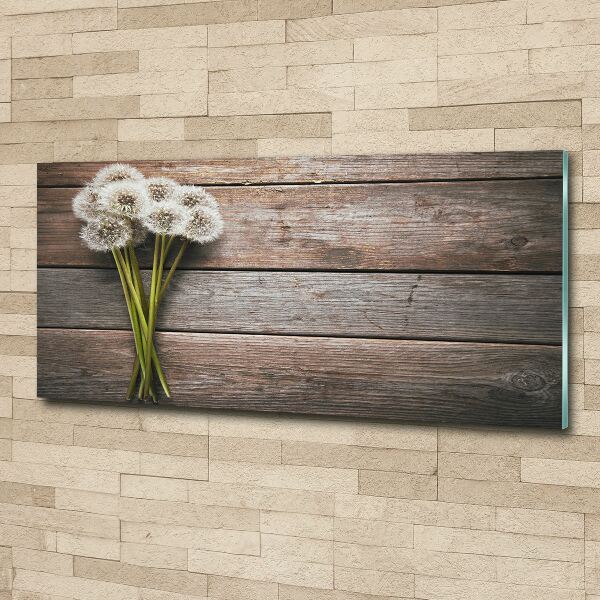 Obraz zdjęcie szkło akryl Dmuchawce drewno