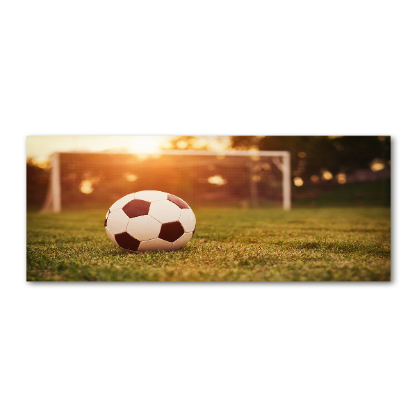 Plexiglas foto De bal op het veld