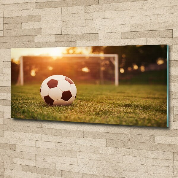 Plexiglas foto De bal op het veld
