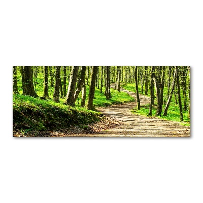 Foto obraz szkło akryl Ścieżka w lesie