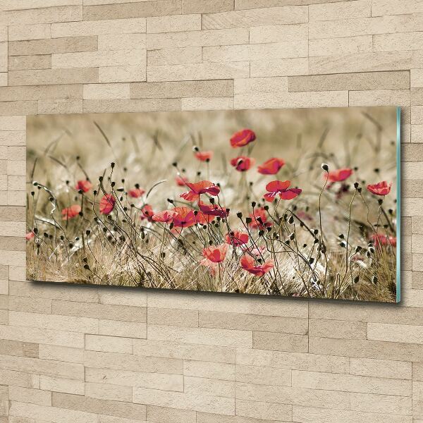 Plexiglas schilderij Klaprozen