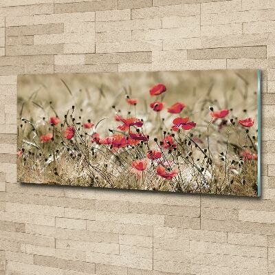 Obraz zdjęcie na ścianę szkło akrylowe Maki