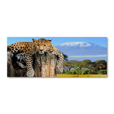 Obraz zdjęcie szkło akryl Lampart na pniu